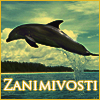 zanimivosti