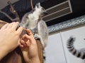 slika dogodka gallery/img/2/